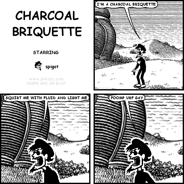 CHARCOAL BRIQUETTE