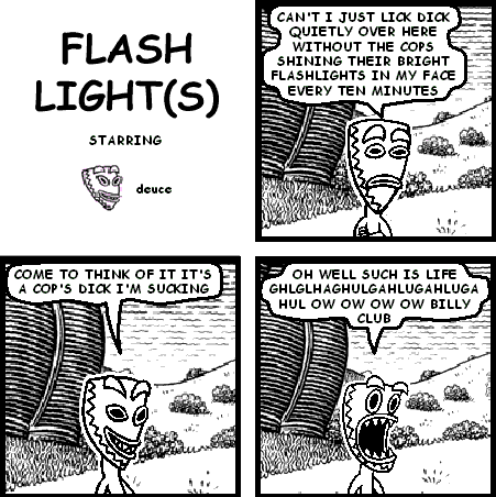 FLASH LIGHT(S)