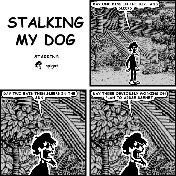 STALKING MY DOG