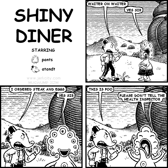 SHINY DINER