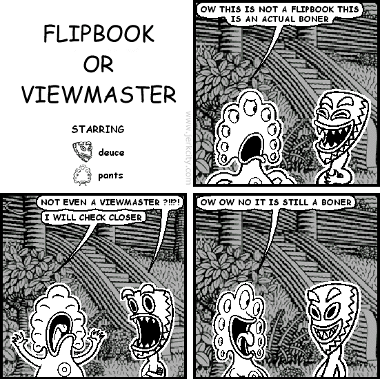FLIPBOOK OR VIEWMASTER