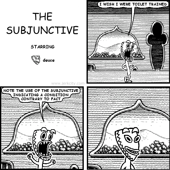 THE SUBJUNCTIVE