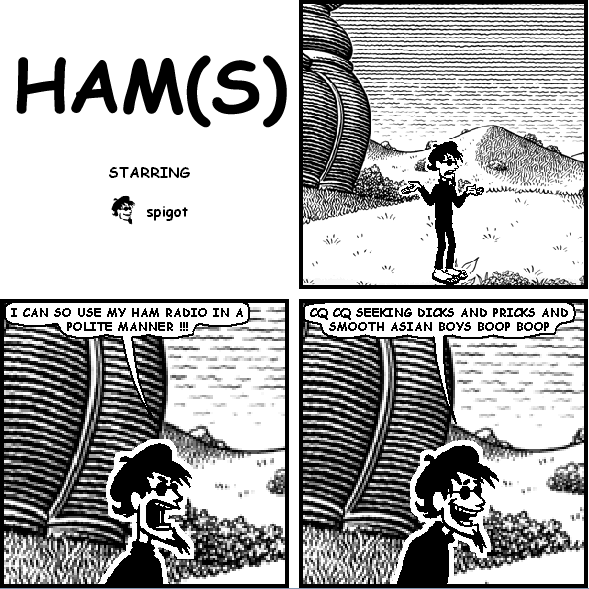 HAM(S)