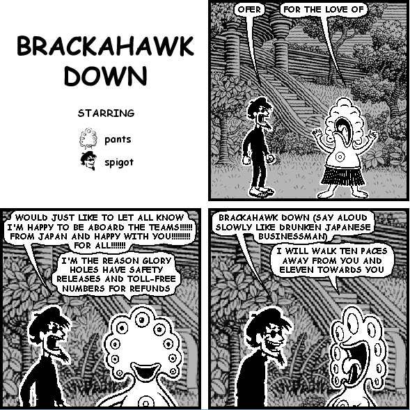 BRACKAHAWK DOWN
