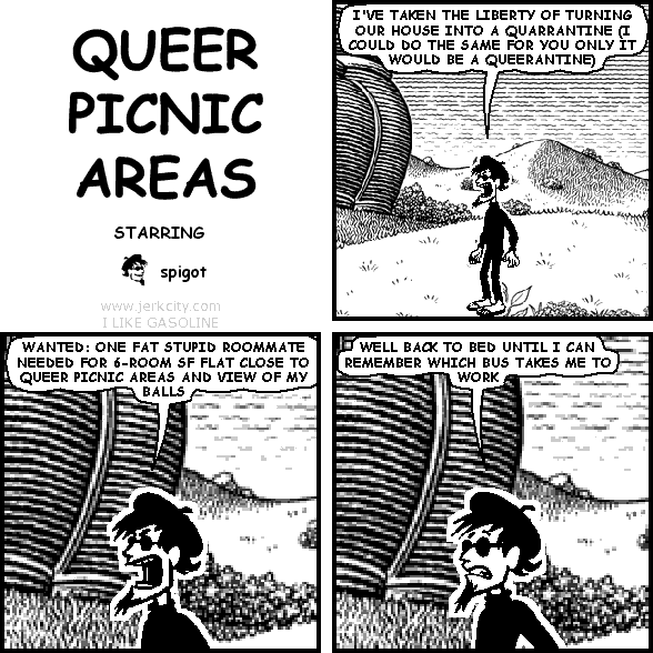 QUEER PICNIC AREAS