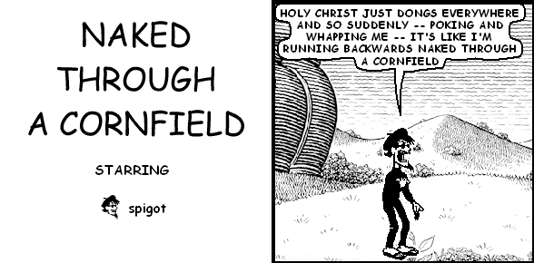 NAKED THROUGH A CORNFIELD