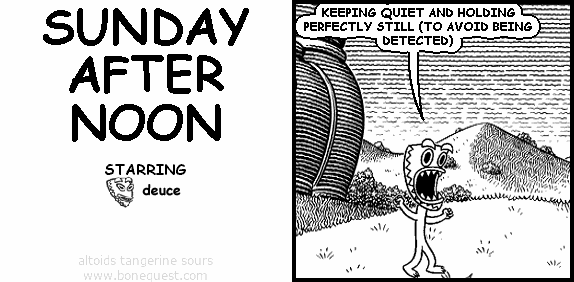 SUNDAY AFTER NOON