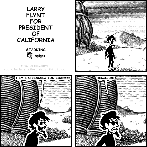 LARRY FLYNT FOR PRESIDENT OF CALIFORNIA