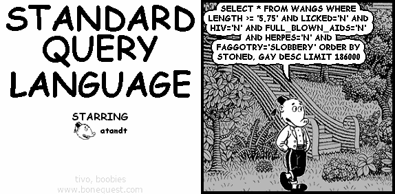 STANDARD QUERY LANGUAGE