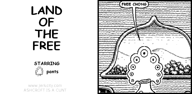 LAND OF THE FREE