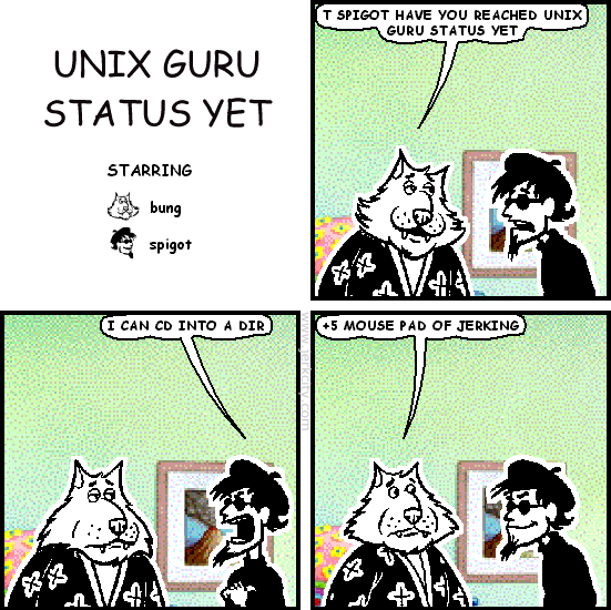 UNIX GURU STATUS