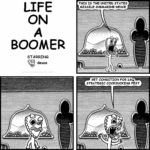 LIFE ON A BOOMER