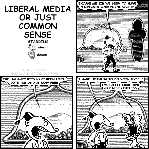 LIBERAL MEDIA OR JUST COMMON SENSE