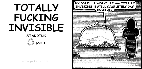 TOTALLY FUCKING INVISIBLE
