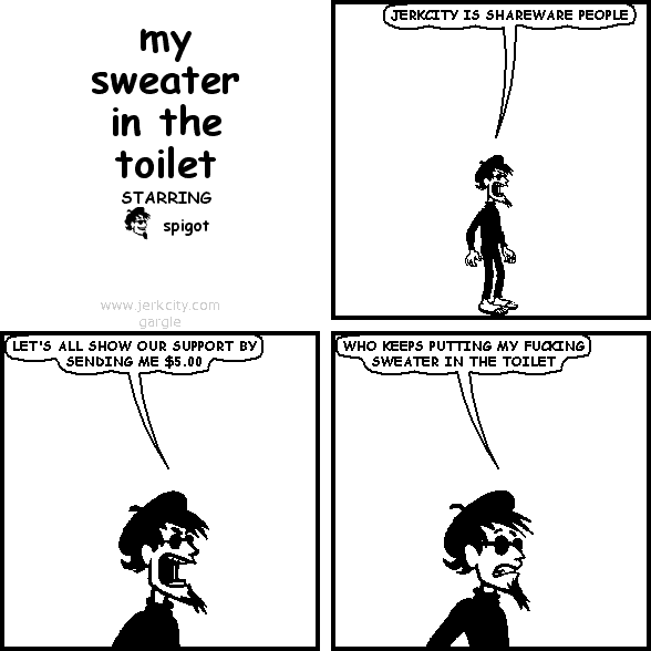 MY SWEATER IN THE TOILET