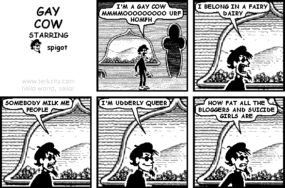 GAY COW