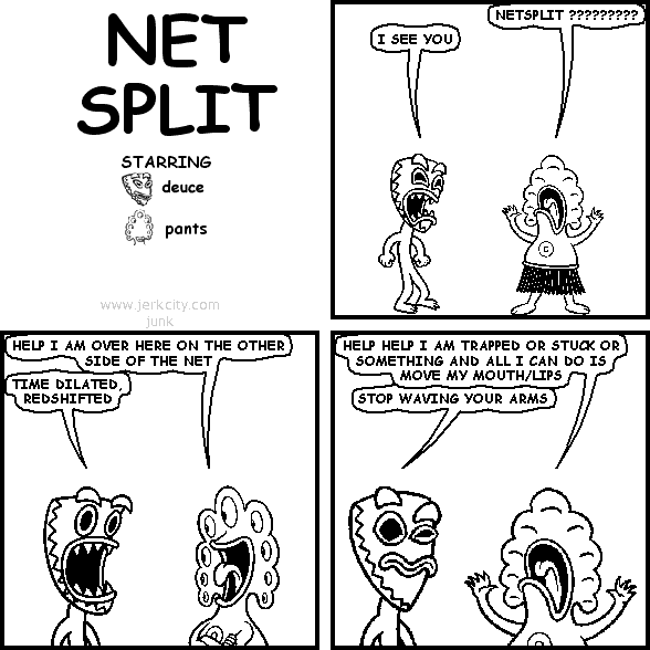 NET SPLIT