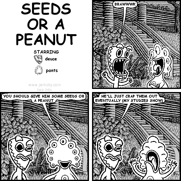 SEEDS OR A PEANUT