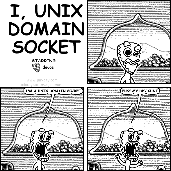 I, UNIX DOMAIN SOCKET