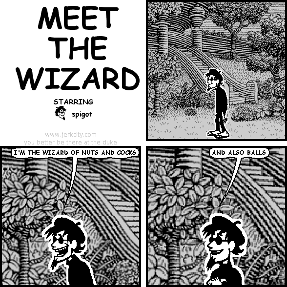 MEET THE WIZARD