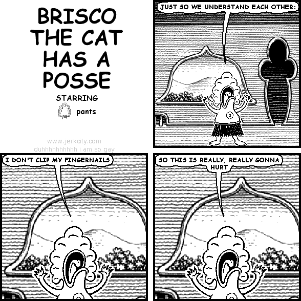 BRISCO THE CAT HAS A POSSE