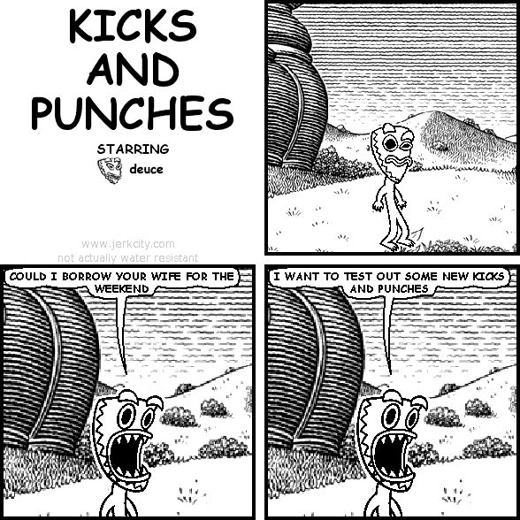 KICKS AND PUNCHES