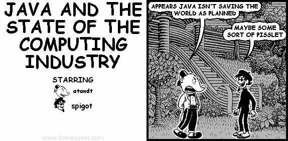 JAVA AND THE STATE OF THE COMPUTING INDUSTRY