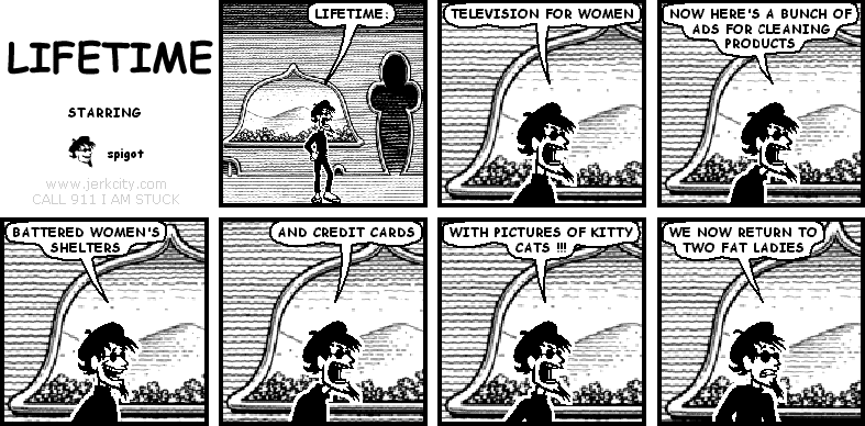 LIFETIME: TELEVISION FOR WOMEN