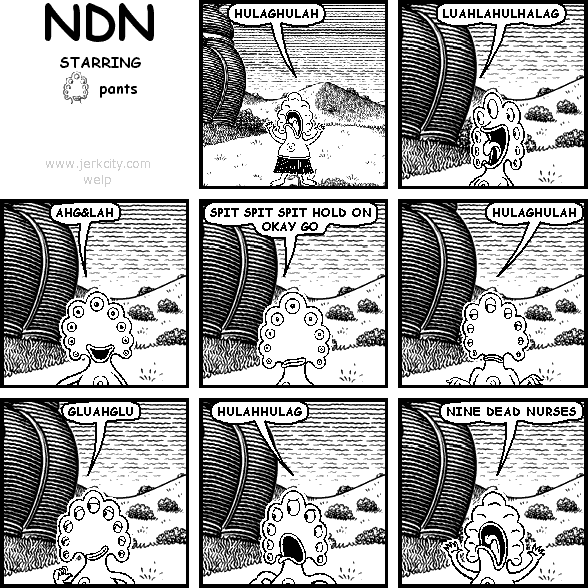 NDN