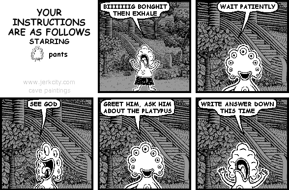 YOUR INSTRUCTIONS ARE AS FOLLOWS