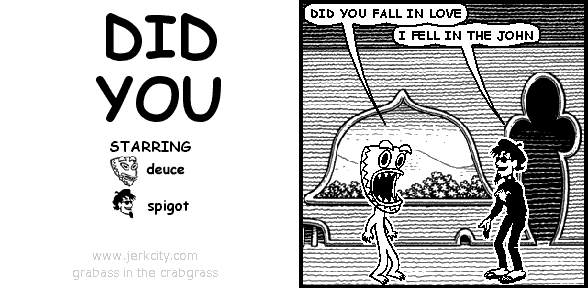 DID YOU FALL IN LOVE