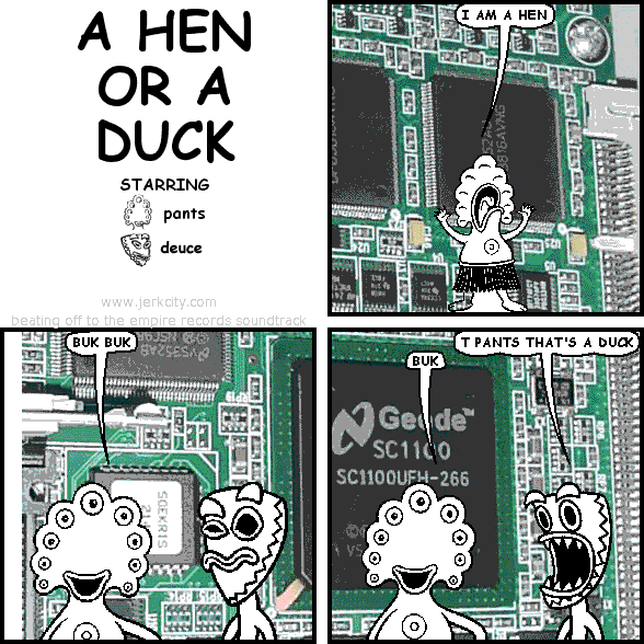 A HEN OR A DUCK