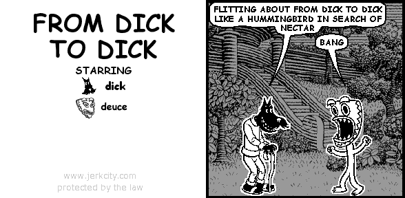 FROM DICK TO DICK