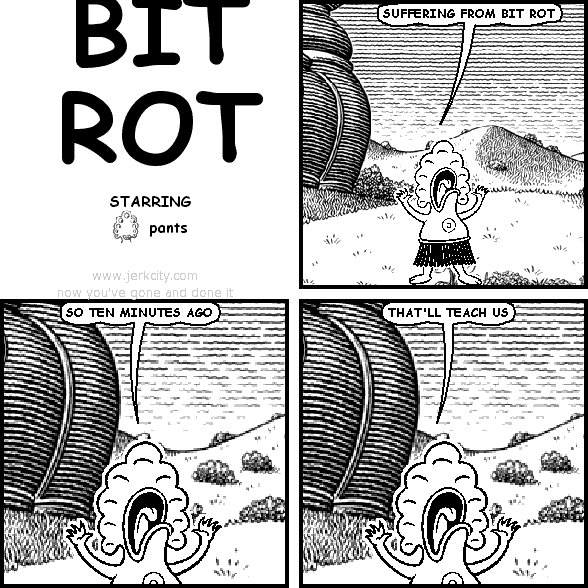 BIT ROT