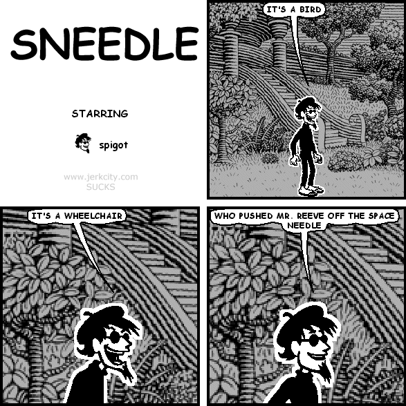 SNEEDLE