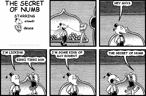 THE SECRET OF NUMB