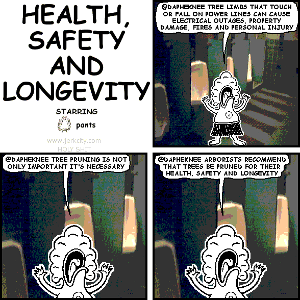 HEALTH, SAFETY AND LONGEVITY