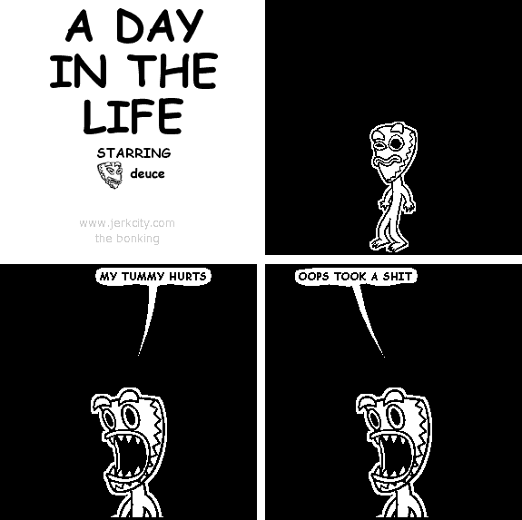 A DAY IN THE LIFE