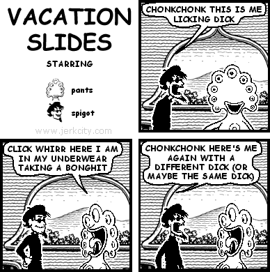 VACATION SLIDES