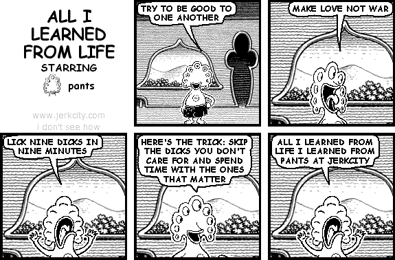 all i learned from life