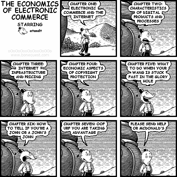 THE ECONOMICS OF ELECTRONIC COMMERCE