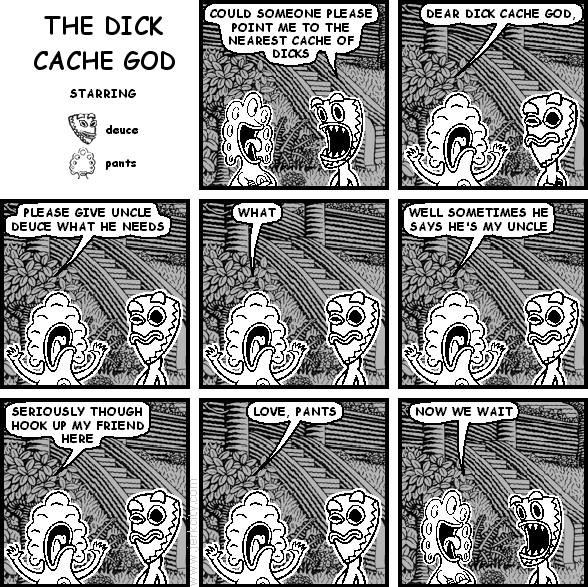THE DICK CACHE GOD