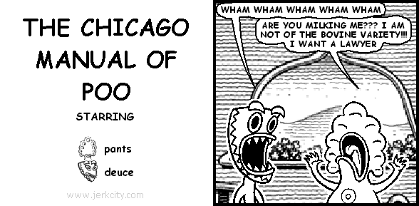 THE CHICAGO MANUAL OF POO
