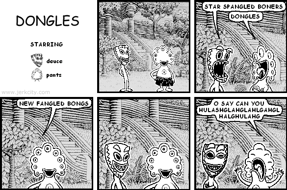 DONGLES