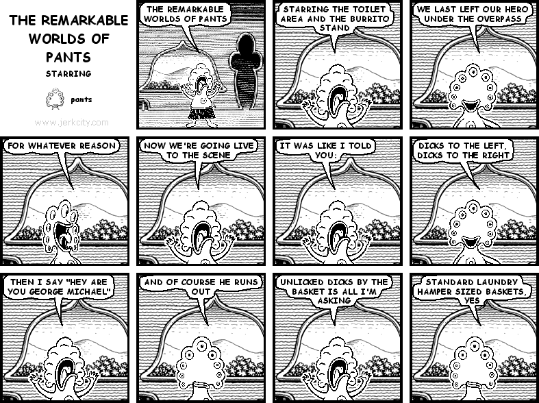 THE REMARKABLE WORLD OF PANTS