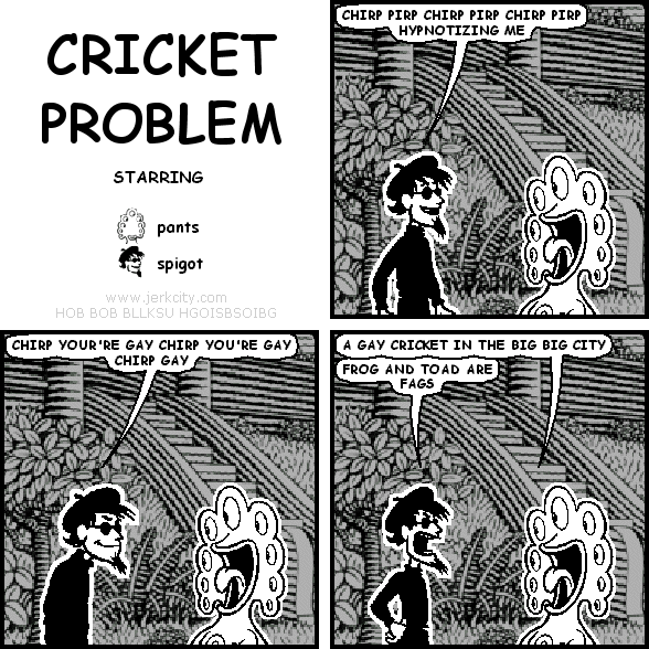 cricket problem